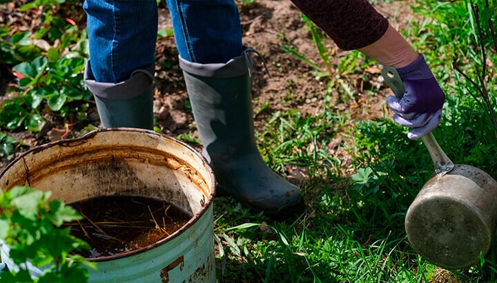 Compost tea