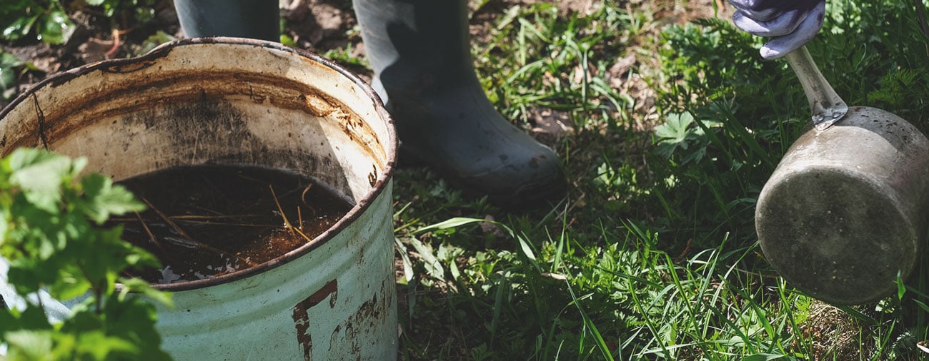 Compost Tea