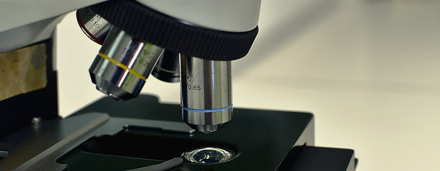 Microscope composé