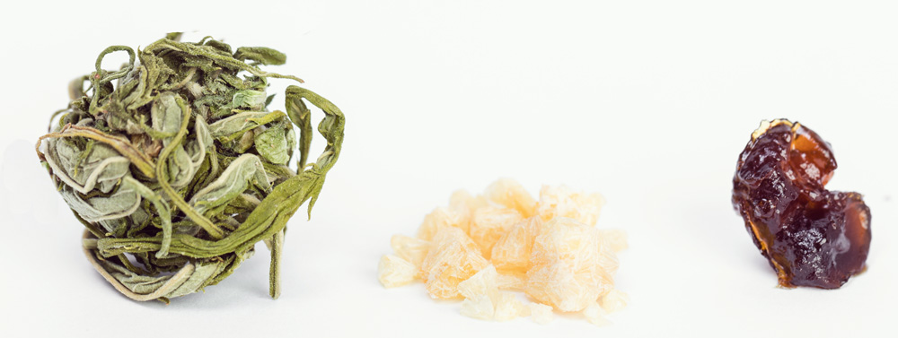 Concentrés cannabis terpènes extraction huile cbd marijuana médicale