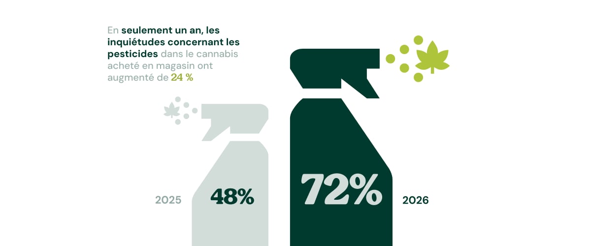 Infographie montrant que les inquiétudes concernant les pesticides dans le cannabis acheté en magasin sont passées de 48 % en 2025 à 72 % en 2026.