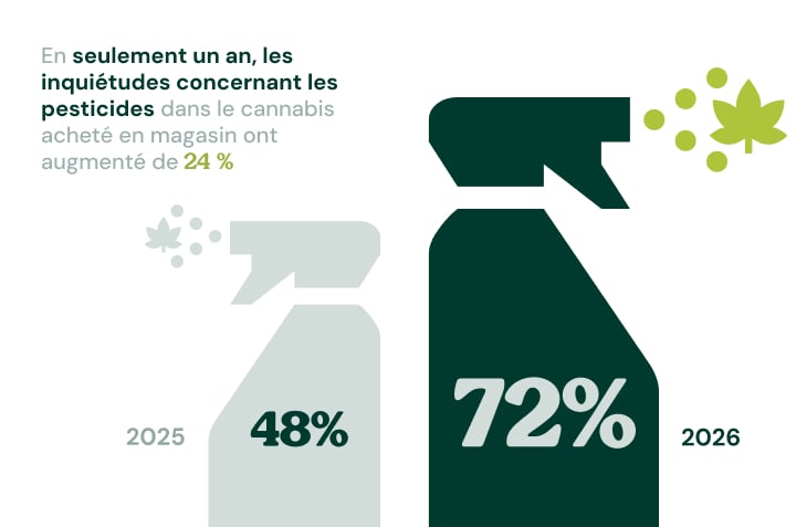 Infographie montrant que les inquiétudes concernant les pesticides dans le cannabis acheté en magasin sont passées de 48 % en 2025 à 72 % en 2026.