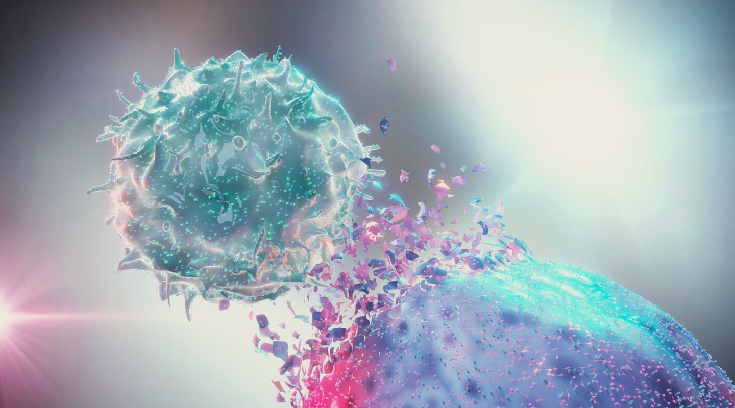 Le rôle du système endocannabinoïde dans l’immunité Le rôle du système endocannabinoïde dans l’immunité