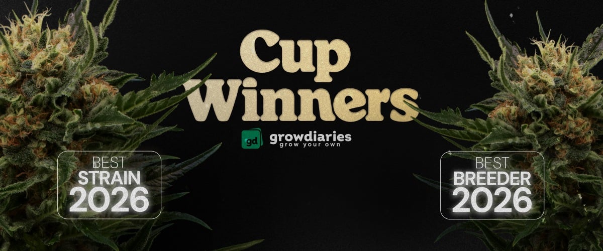 Bannière des récompenses cannabis Cup Winners 2026 mettant en avant les meilleurs variétés et meilleurs breeders avec des têtes de cannabis et le logo GrowDiaries