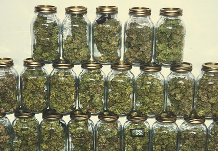 Collection de bocaux en verre remplis de têtes de cannabis séchées, disposés en forme de pyramide.