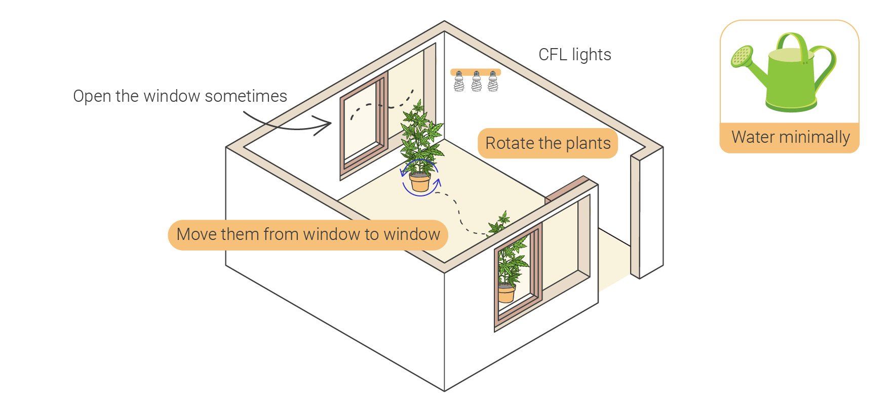 Comment cultiver du cannabis en intérieur sans lampe Comment cultiver du cannabis en intérieur sans lampe