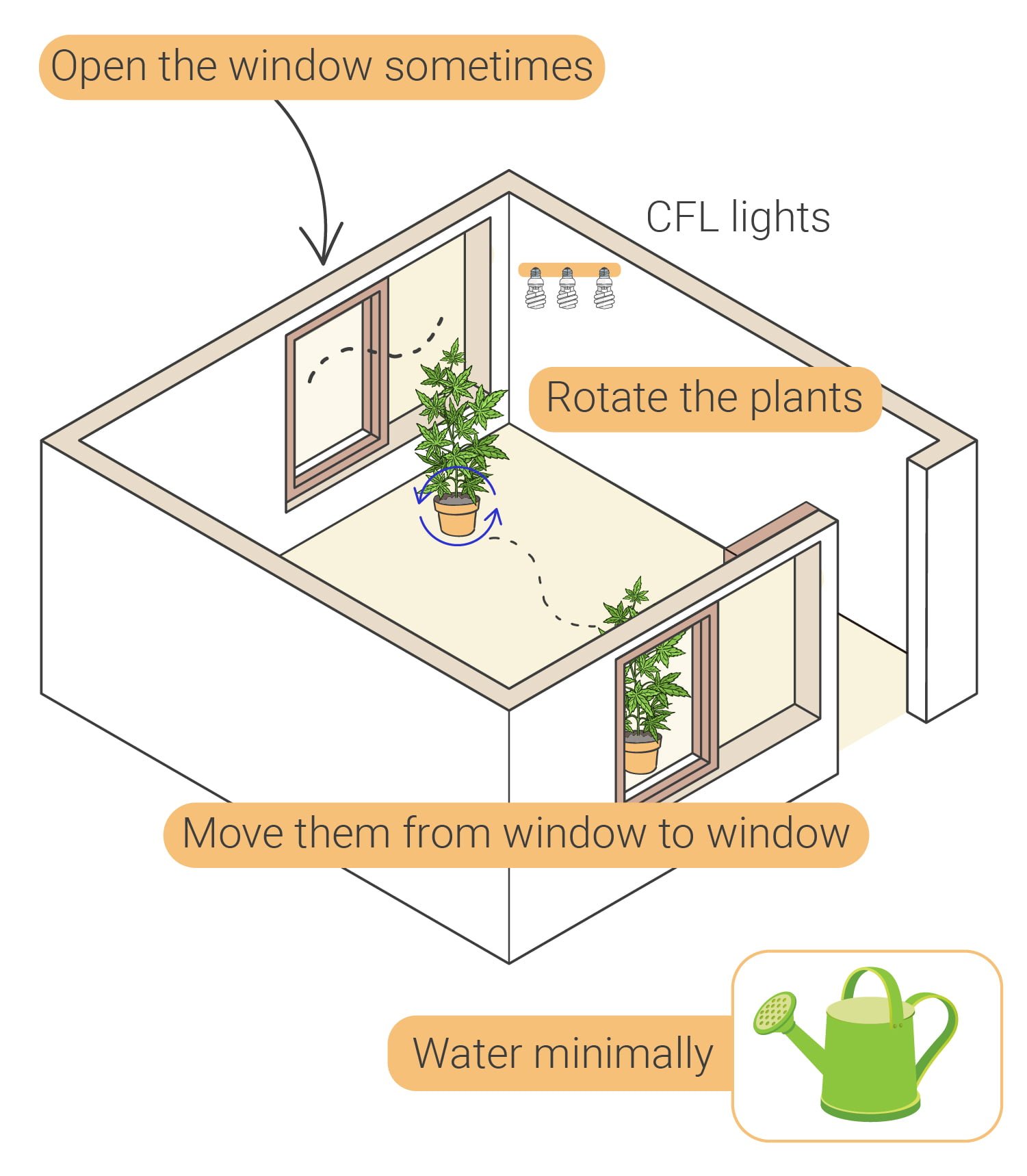 Comment cultiver du cannabis en intérieur sans lampe