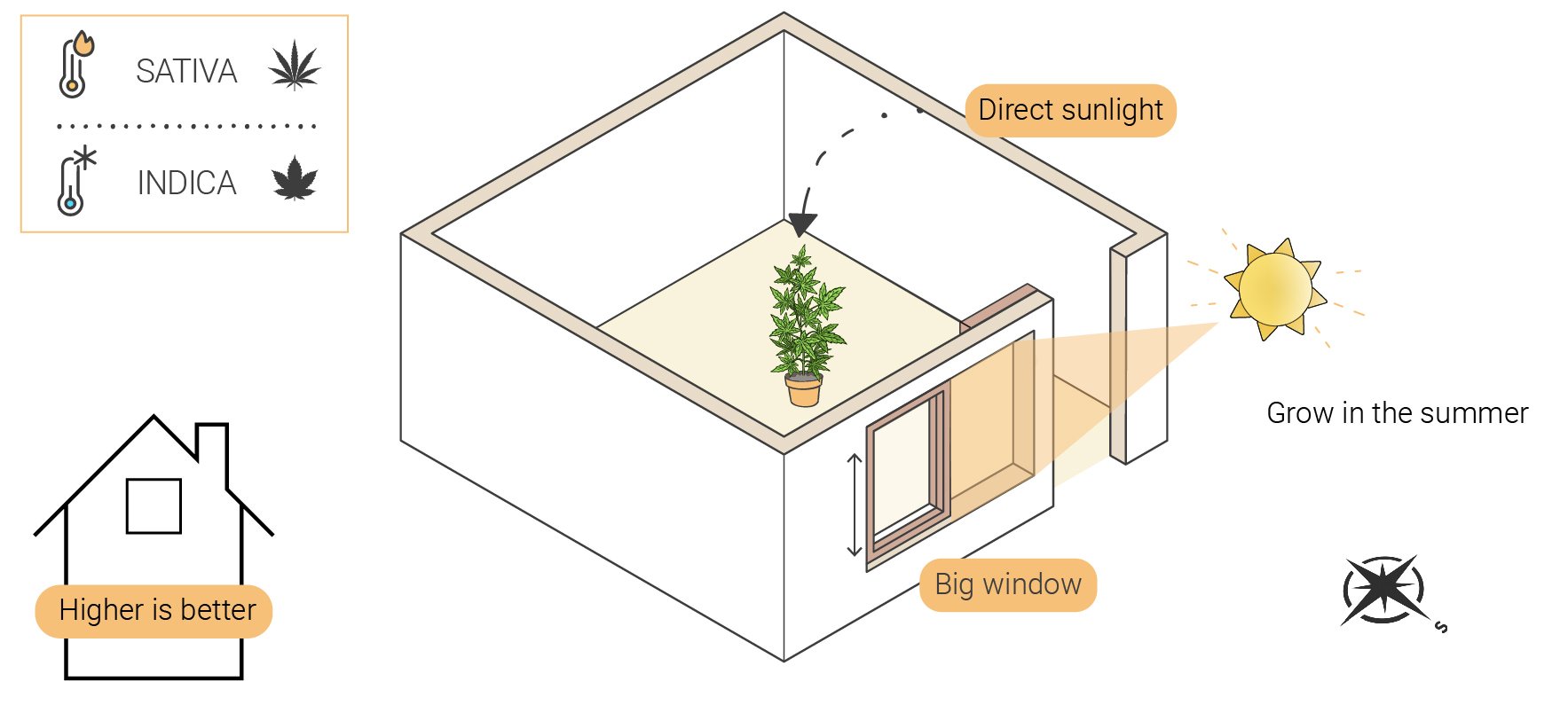 Comment cultiver du cannabis en intérieur sans lampe