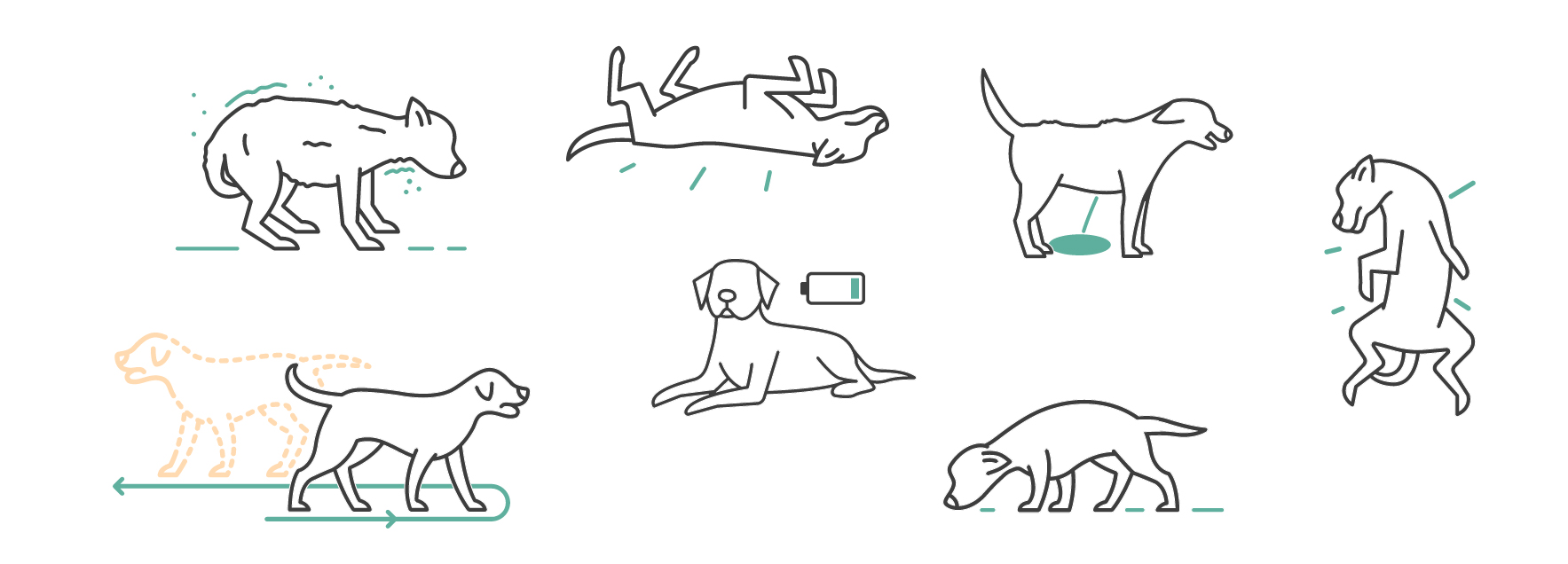 What to Do if Your Dog Gets High What to Do if Your Dog Gets High