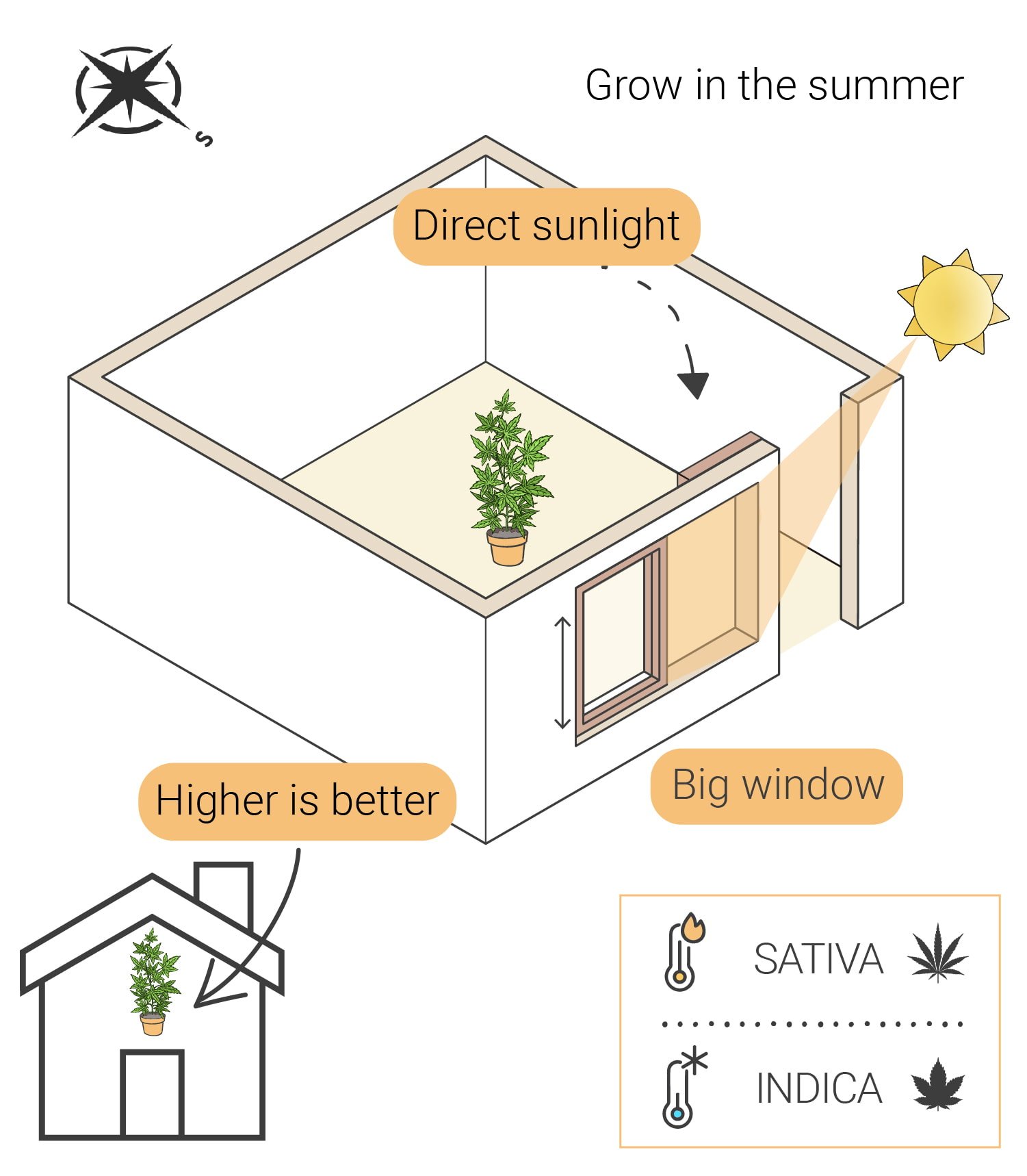 Comment cultiver du cannabis en intérieur sans lampe