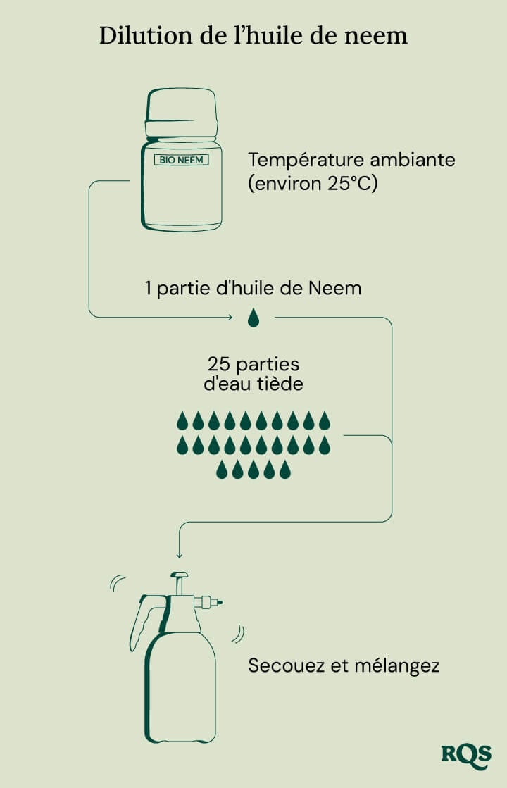 Diluting neem oil