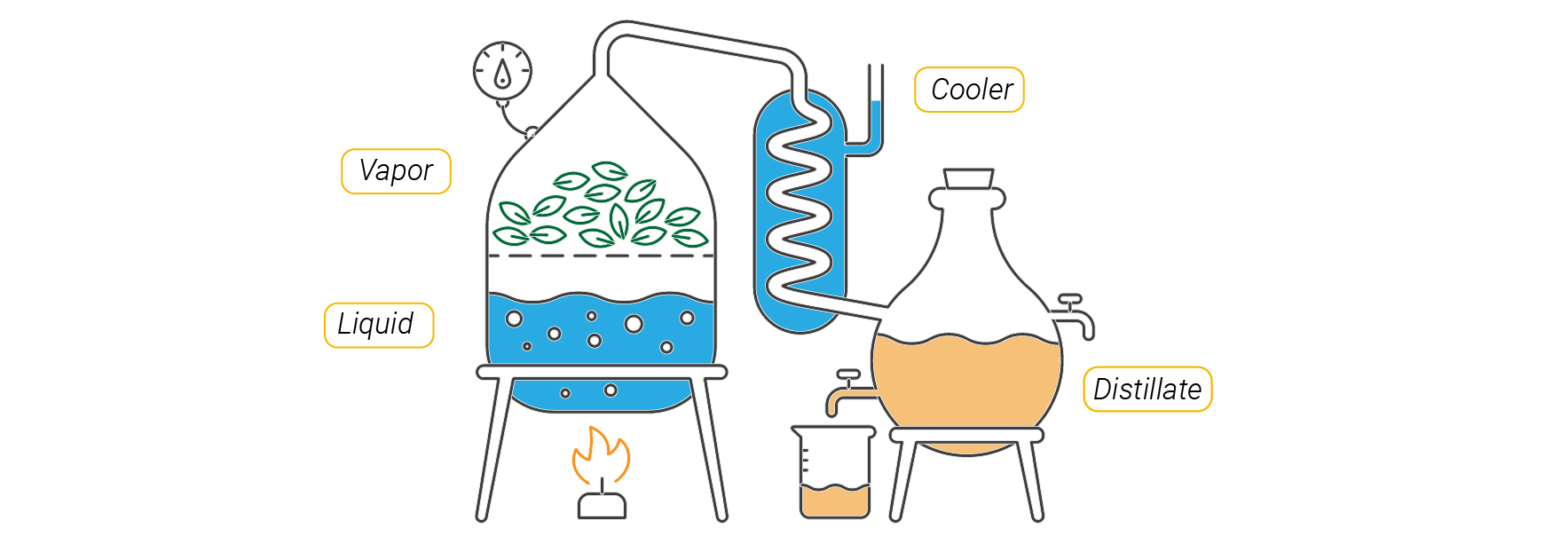 Distillat De Cannabis: Qu’est-ce Que C’est Et Pourquoi C’est Important? Distillat De Cannabis: Qu’est-ce Que C’est Et Pourquoi C’est Important?