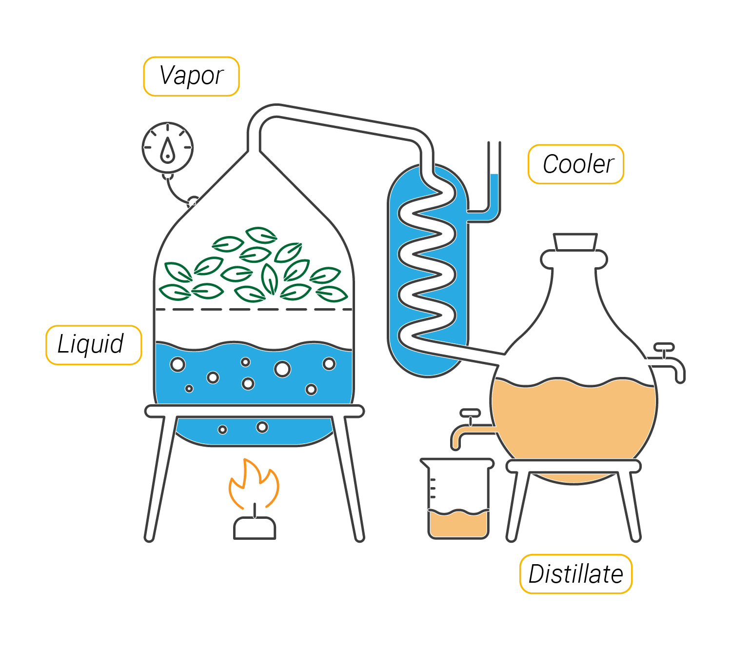 Distillat De Cannabis: Qu’est-ce Que C’est Et Pourquoi C’est Important? Distillat De Cannabis: Qu’est-ce Que C’est Et Pourquoi C’est Important?