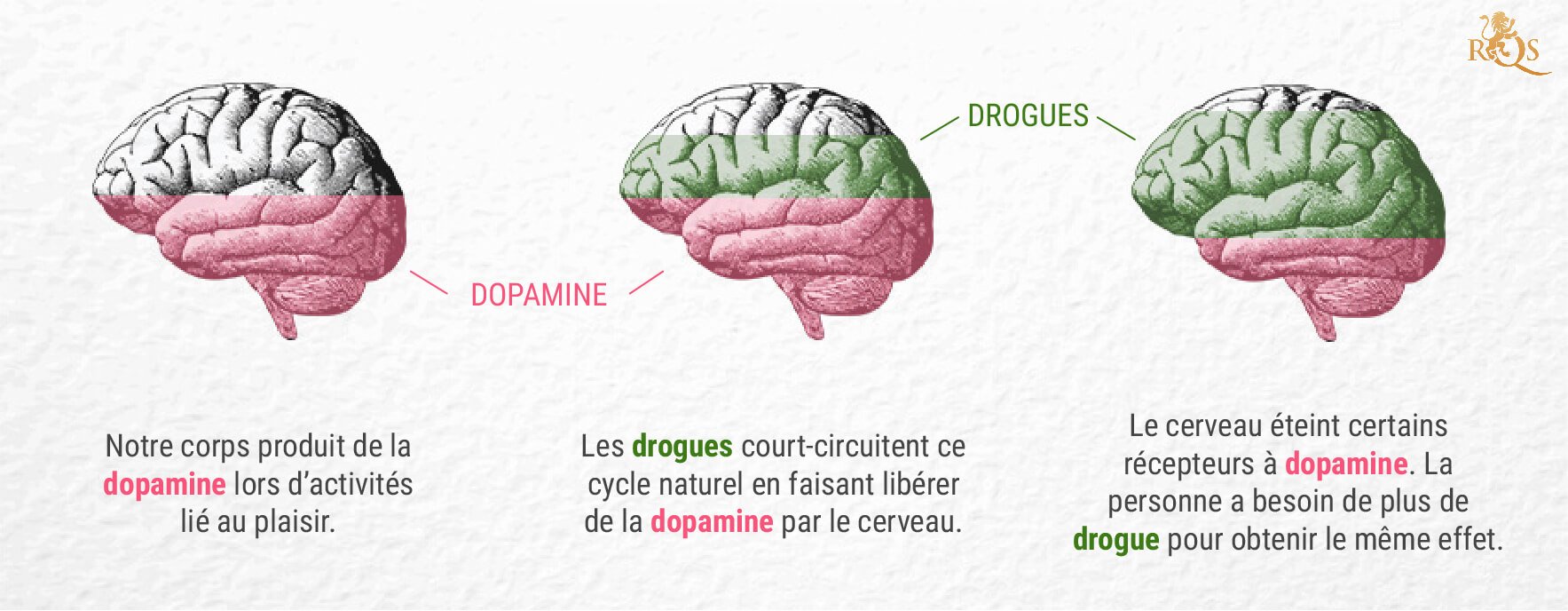 THC et dopamine