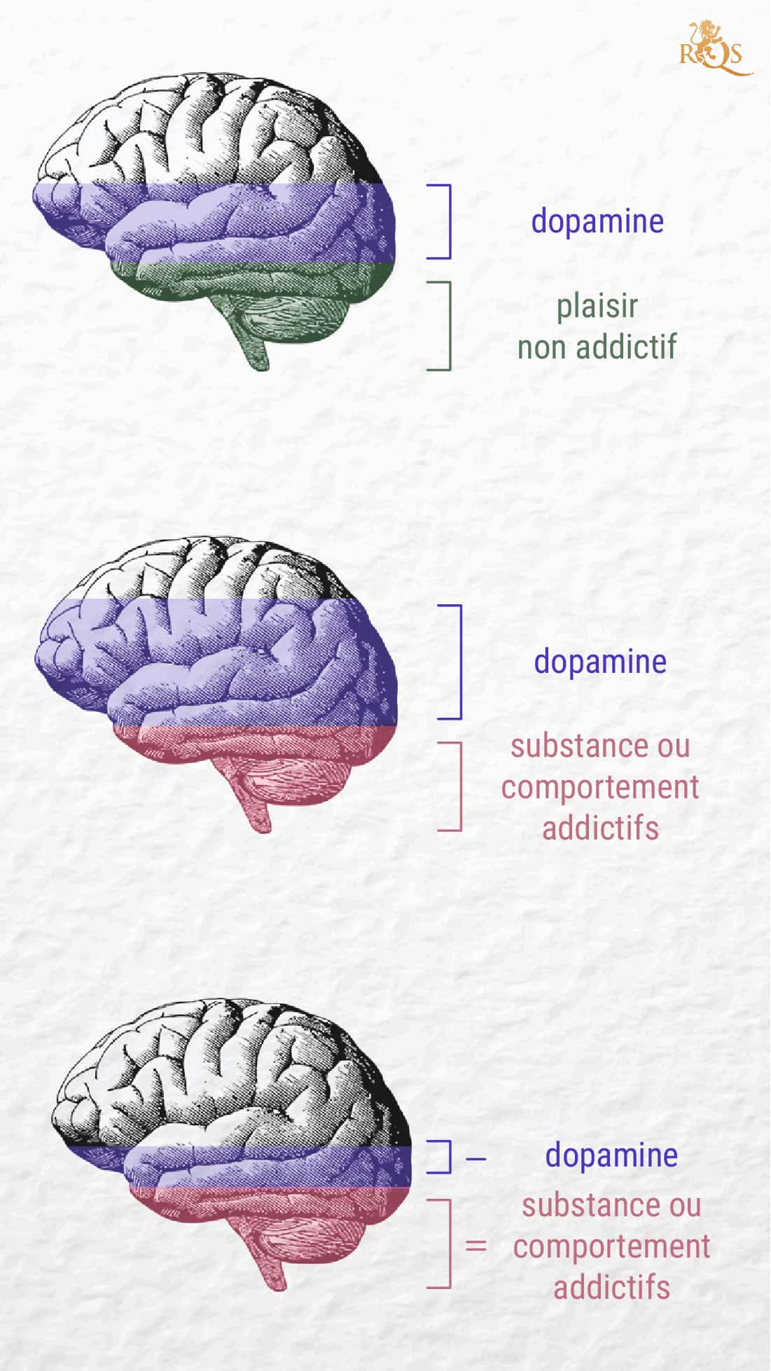 Qu’est-ce que l’addiction? Qu’est-ce que l’addiction?
