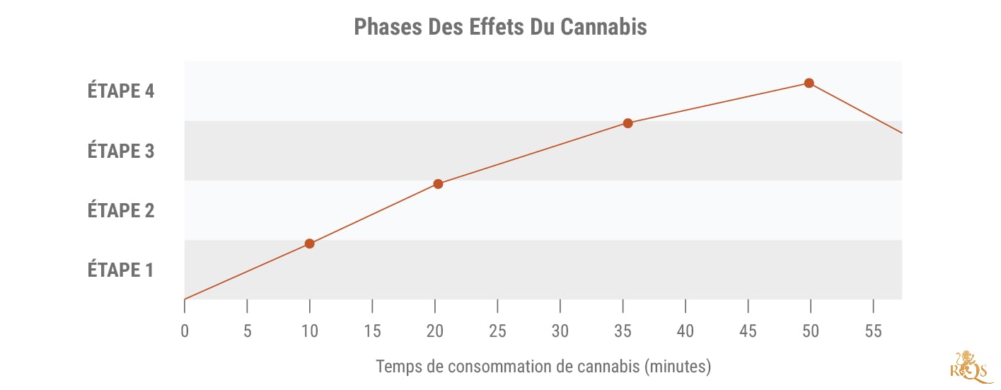 Phases Des Effets Du Cannabis