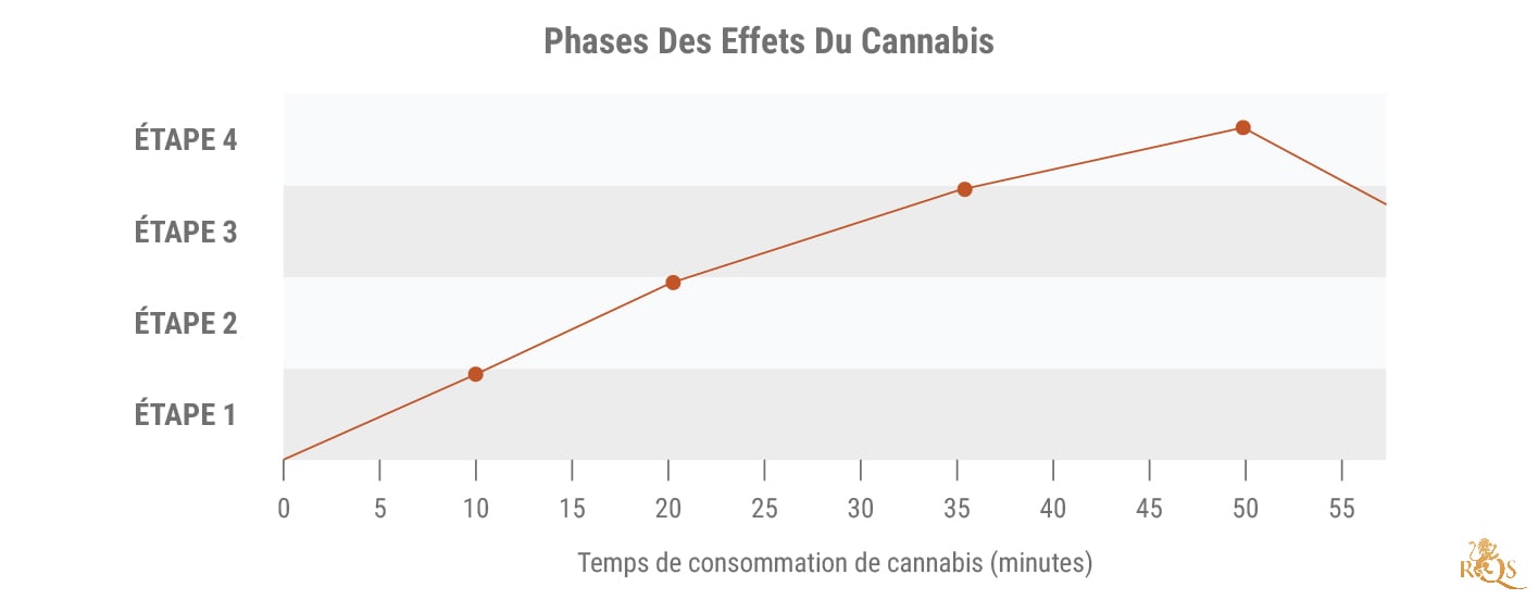 Phases Des Effets Du Cannabis Phases Des Effets Du Cannabis