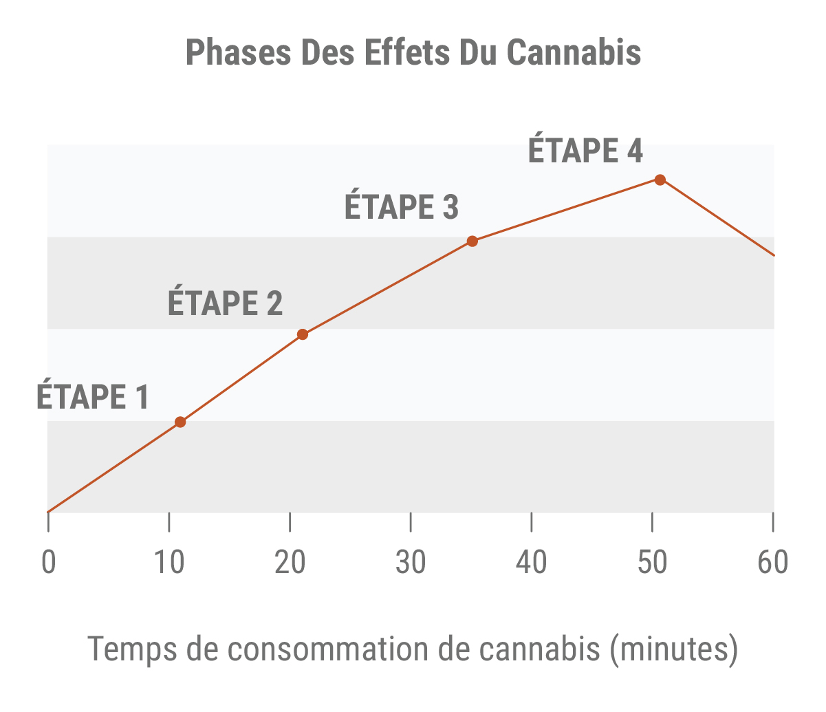 Phases Des Effets Du Cannabis