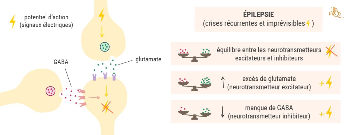 La science derrière les crises d’épilepsie La science derrière les crises d’épilepsie