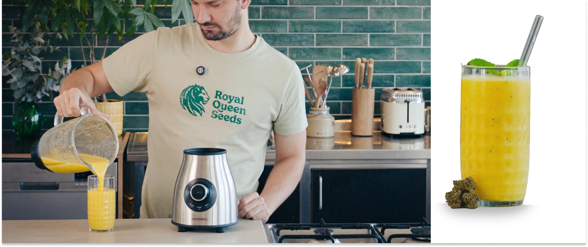 Étapes 4–5 : Mixer le smoothie au cannabis jusqu’à obtenir une texture crémeuse et servir immédiatement Mixage d’un smoothie au cannabis et à la mangue, puis versement de la boisson finie dans un verre, prête à être dégustée avec une texture lisse et crémeuse.