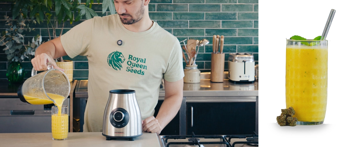Mixage d’un smoothie au cannabis et à la mangue, puis versement de la boisson finie dans un verre, prête à être dégustée avec une texture lisse et crémeuse.