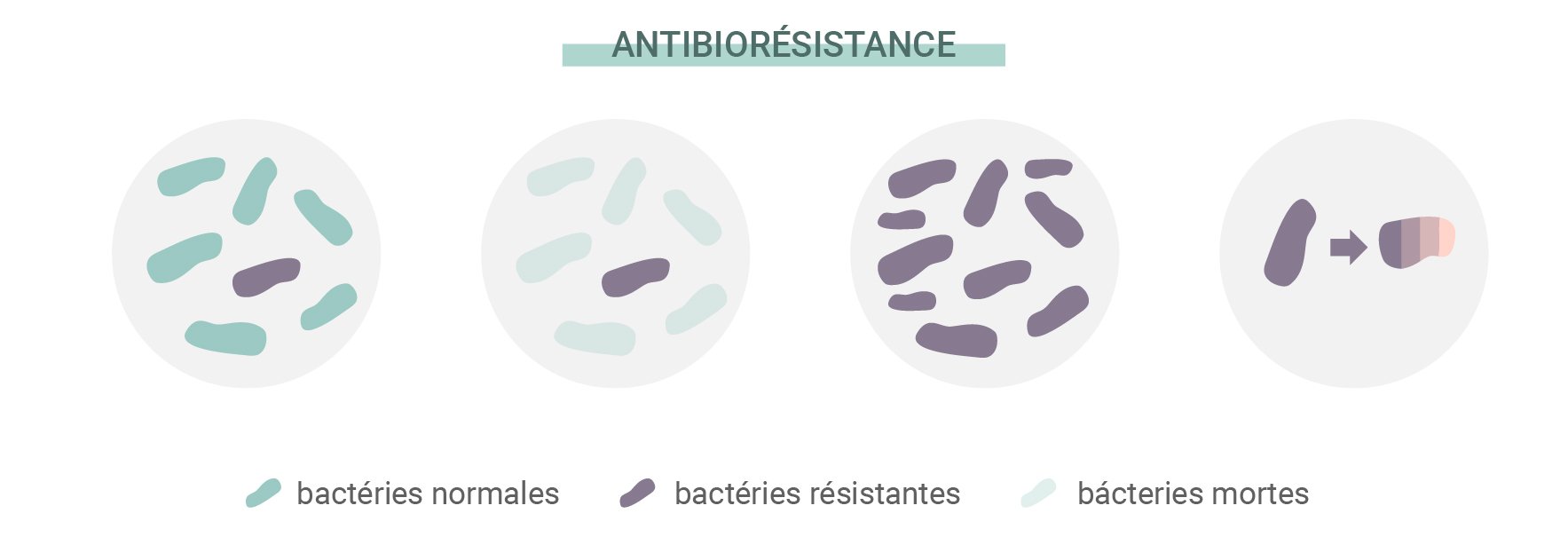 Qu’est-ce que la résistance aux antibiotiques