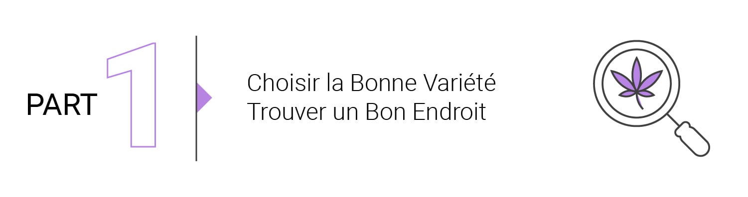 Les Bases de La Culture en Extérieur (2ème Partie)