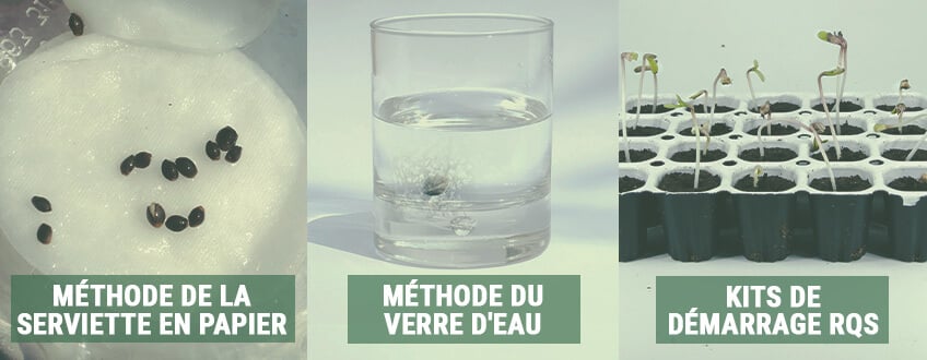 ÉTAPE 2 : UTILISER LES BONNES TECHNIQUES DE GERMINATION ÉTAPE 2 : UTILISER LES BONNES TECHNIQUES DE GERMINATION