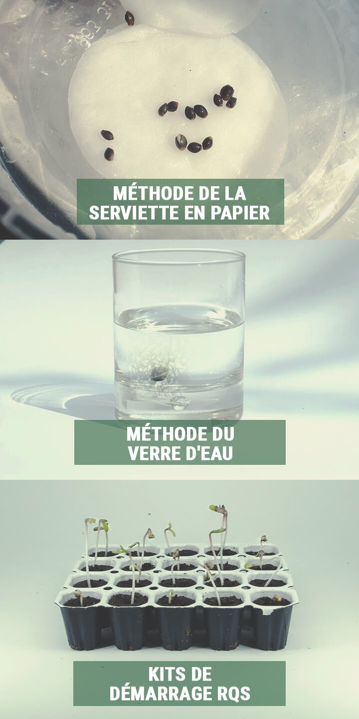 ÉTAPE 2 : UTILISER LES BONNES TECHNIQUES DE GERMINATION ÉTAPE 2 : UTILISER LES BONNES TECHNIQUES DE GERMINATION