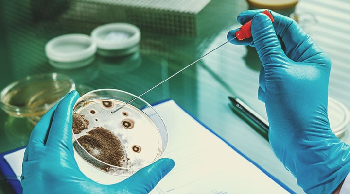Comment les microbes se transmettent Comment les microbes se transmettent