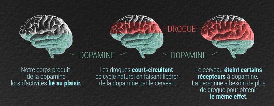 Comparaison Avec Le Cannabis