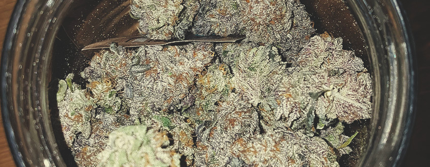 Haze Berry Haze Berry