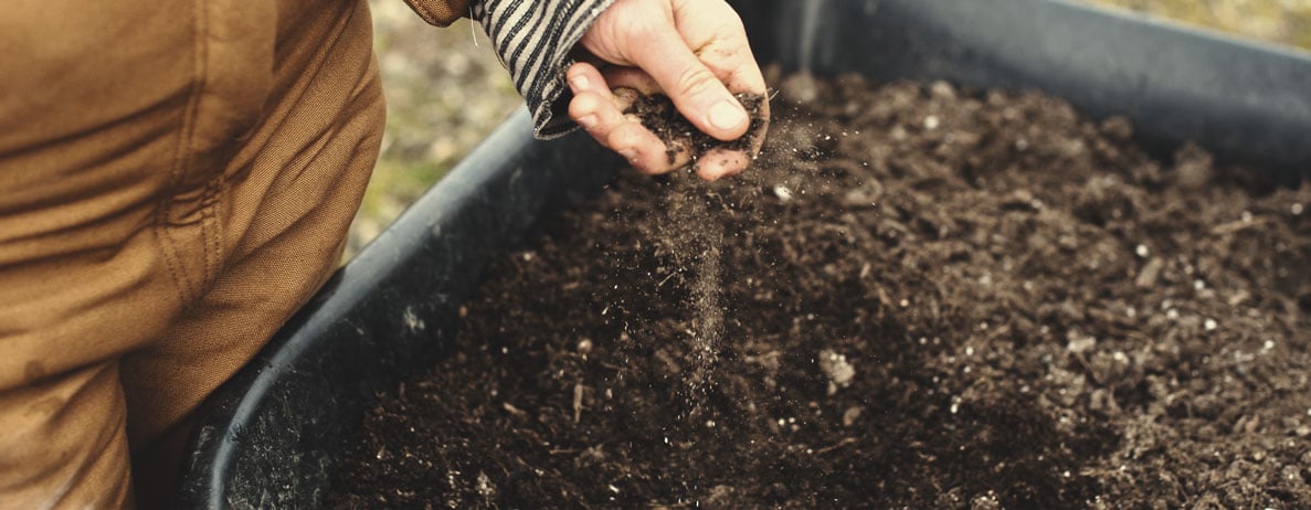 KNF et techniques culturales simplifiées (ou agriculture sans labour)