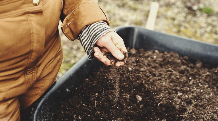 KNF et techniques culturales simplifiées (ou agriculture sans labour)