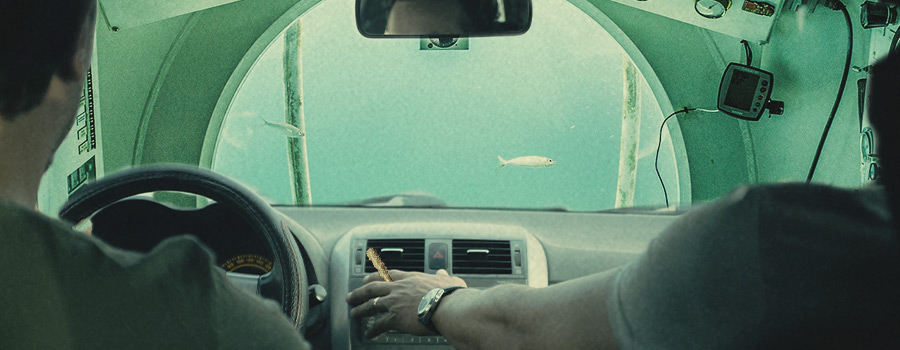 QU’EST-CE QU’UN AQUARIUM ? QU’EST-CE QU’UN AQUARIUM ?