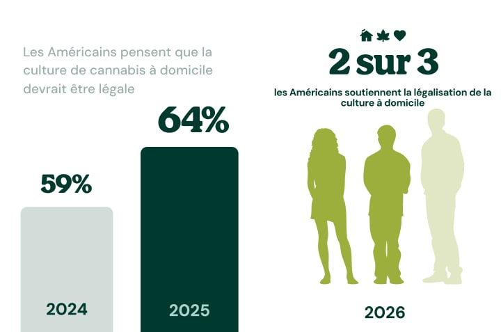 Infographie montrant que 76 % des consommateurs de cannabis préfèrent l’effet du cannabis à celui de l’alcool.
