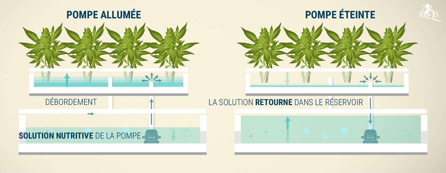 La table à marée (Ebb & Flow)