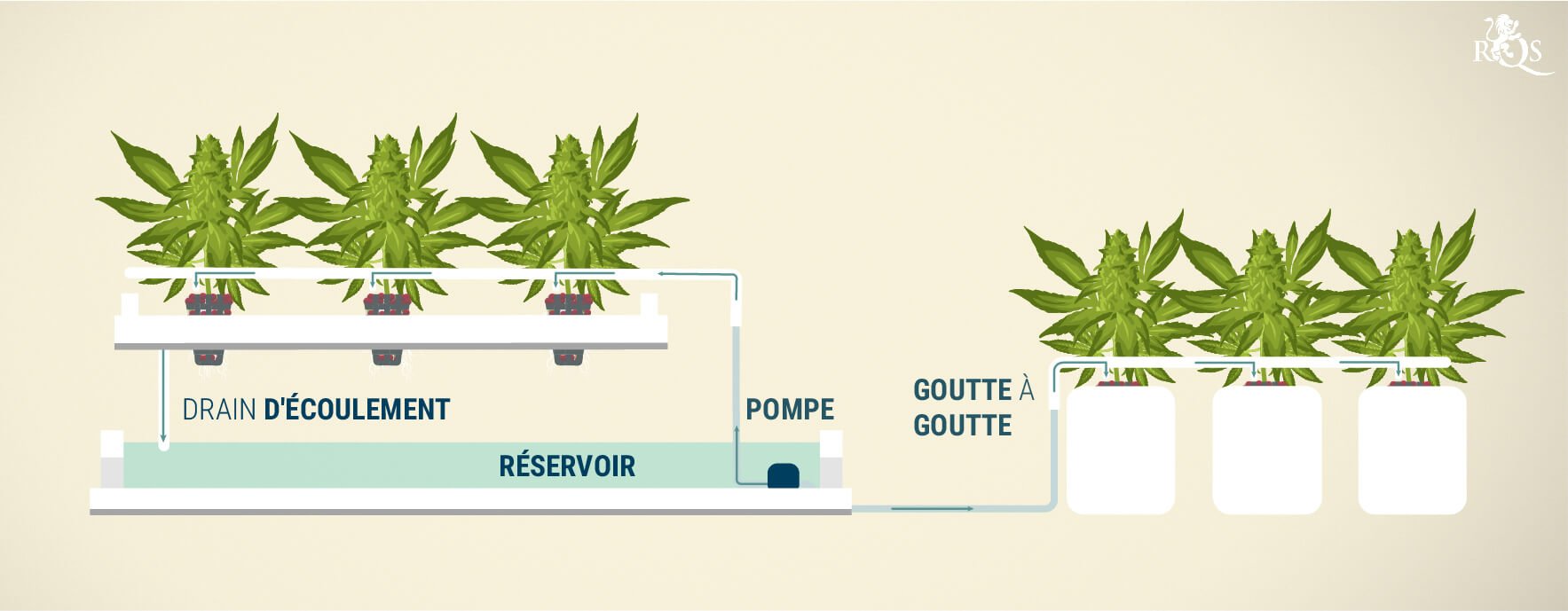 Le système goutte à goutte