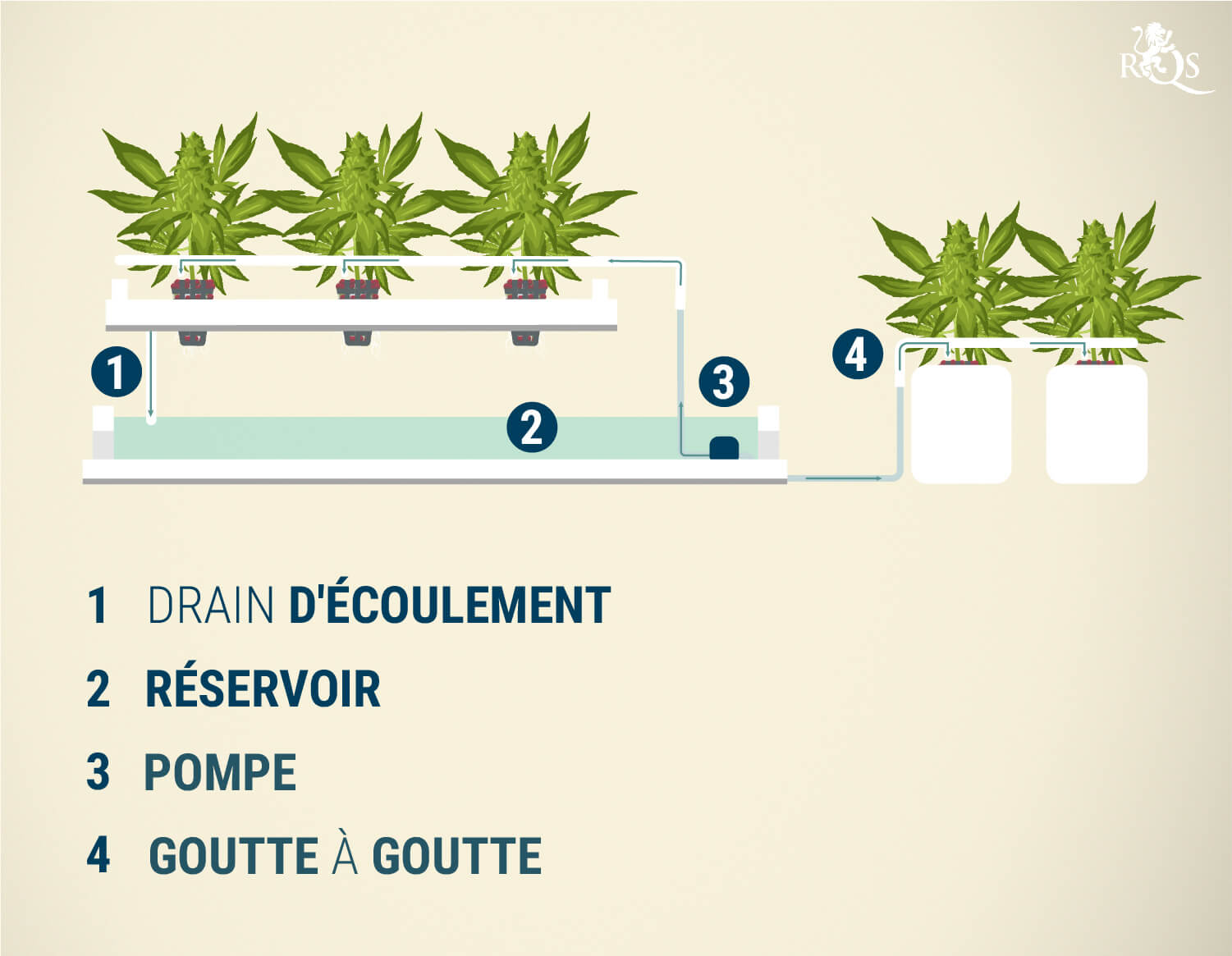 Le système goutte à goutte