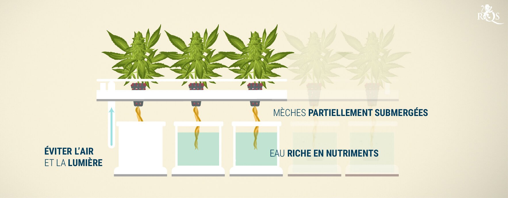 Le système de la mèche Le système de la mèche
