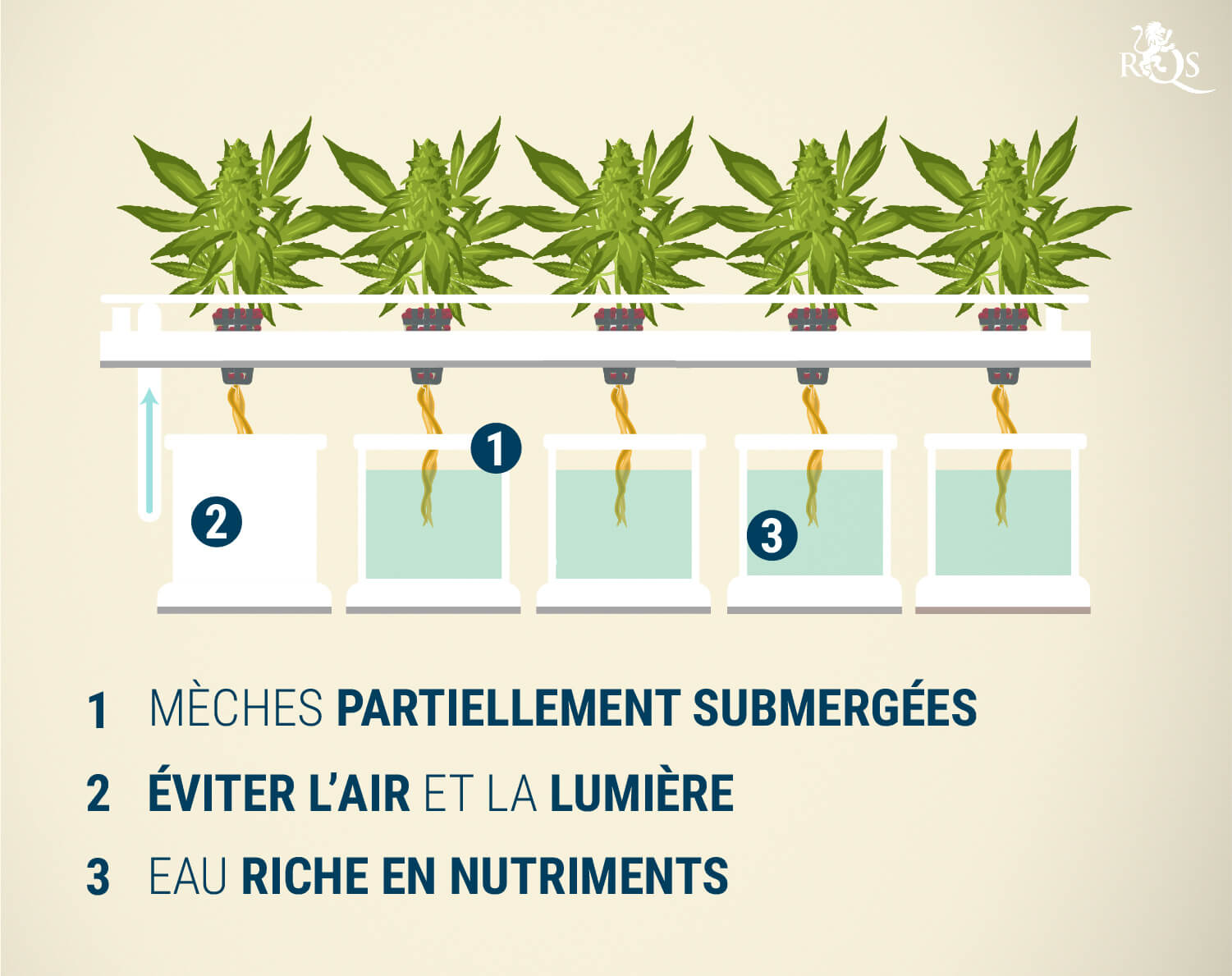 Le système de la mèche Le système de la mèche