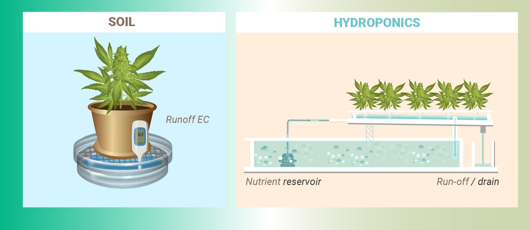 COMMENT MESURER LA CONCENTRATION DE NUTRIMENTS