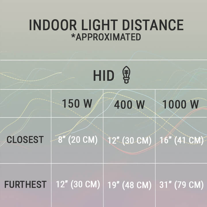 Tips for Saving Time Growers Mistakes to Avoid LED Grow Lights
