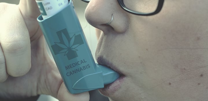 Toutes Les Façons De Consommer Du Cannabis Toutes Les Façons De Consommer Du Cannabis