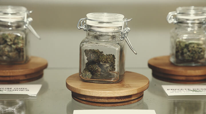 Comment détecter une weed moisie en achetant Comment détecter une weed moisie en achetant