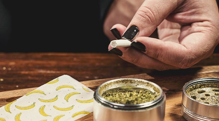 Une personne en train de moudre de la fleur de cannabis avec un grinder métallique, concentrée sur le processus de broyage.
