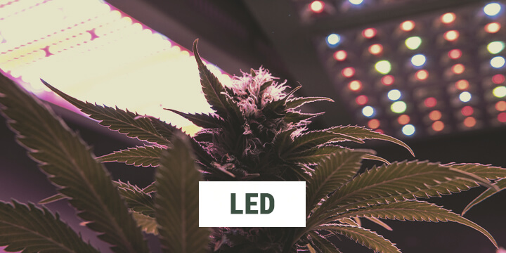 LED LED