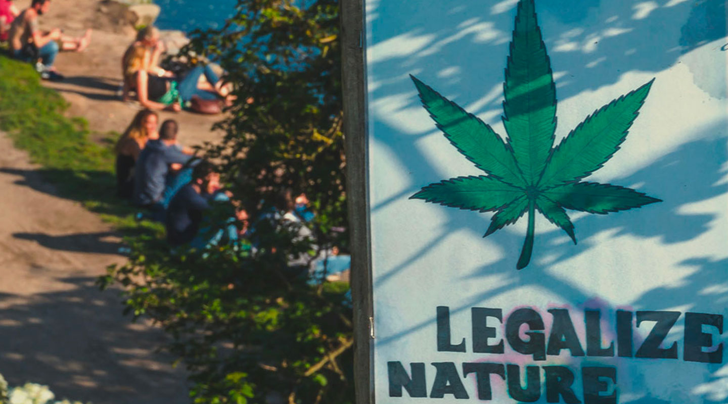 Le statut juridique complexe du cannabis