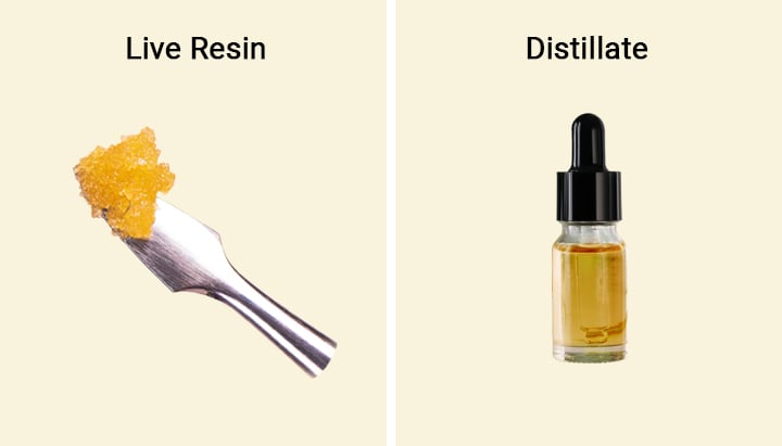 Liv Resin vs Distillate