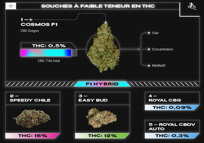 Top RQS Low THC Strains